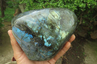 Polished Labradorite Standing Free Form x 1 From Tulear, Madagascar