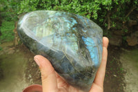 Polished Labradorite Standing Free Form x 1 From Tulear, Madagascar