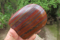 Polished Tiger Iron Jasper Standing Free Forms x 4 From South Africa