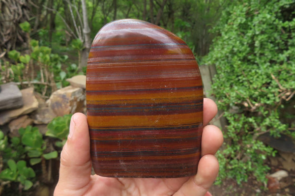 Polished Tiger Iron Jasper Standing Free Forms x 4 From South Africa