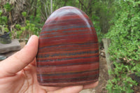 Polished Tiger Iron Jasper Standing Free Forms x 4 From South Africa