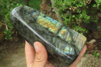 Polished Labradorite Standing Free Forms x 3 From Tulear, Madagascar