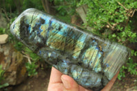 Polished Labradorite Standing Free Forms x 3 From Tulear, Madagascar