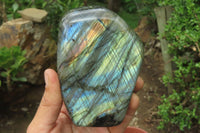 Polished Labradorite Standing Free Forms x 3 From Tulear, Madagascar