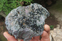 Natural Libethenite Crystals On Dolomite Matrix Specimens x 2 From Shituru, Congo