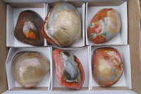 Polished On One Side Polychrome Jasper x 6 From Mahajanga, Madagascar