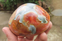 Polished On One Side Polychrome Jasper x 6 From Mahajanga, Madagascar