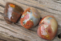 Polished On One Side Polychrome Jasper x 6 From Mahajanga, Madagascar