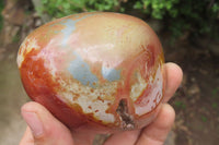 Polished On One Side Polychrome Jasper x 6 From Mahajanga, Madagascar