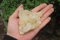 Natural Limonite Quartz Clusters x 12 From Zambia