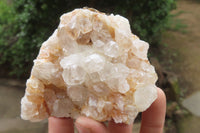 Natural Limonite Quartz Clusters x 12 From Zambia