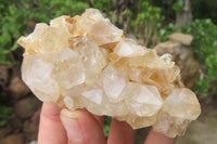 Natural Limonite Quartz Clusters x 12 From Zambia