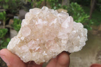 Natural Limonite Quartz Clusters x 12 From Zambia