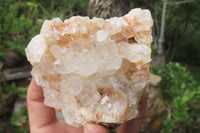 Natural Limonite Quartz Clusters x 12 From Zambia