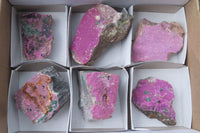 Natural Salrose Cobaltion Dolomite Specimens x 6 From Kakanda, Congo