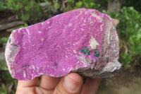 Natural Salrose Cobaltion Dolomite Specimens x 6 From Kakanda, Congo