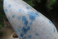 Polished Blue Spinel Spotted Quartz Standing Free Form x 1 From Madagascar