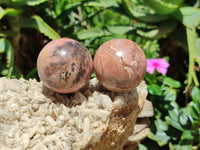 Polished Rhodonite Sphere-Balls - Sold Per Item - From Madagascar