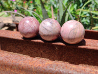 Polished Rhodonite Sphere-Balls - Sold Per Item - From Madagascar