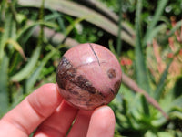 Polished Rhodonite Sphere-Balls - Sold Per Item - From Madagascar