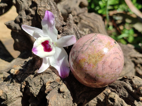 Polished Rhodonite Sphere-Balls - Sold Per Item - From Madagascar