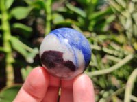 Polished Blue Marble Sphere-Balls - Sold Per Item - From China