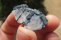 Natural Black Tourmaline On Quartz Specimens x 69 From Namibia