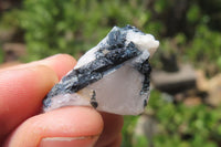 Natural Black Tourmaline On Quartz Specimens x 69 From Namibia