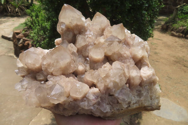 Natural Smokey Phantom Quartz Cluster x 1 From Luena, Congo