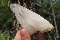 Natural Clear Quartz Crystal Specimens x 6 From Madagascar