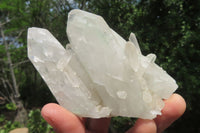 Natural Clear Quartz Crystal Specimens x 6 From Madagascar