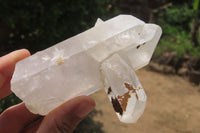 Natural Clear Quartz Crystal Specimens x 6 From Madagascar