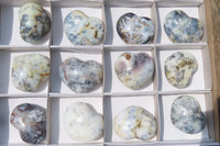 Polished Dendritic Opal Gemstone Hearts x 12 From Moralambo, Madagascar