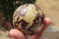 Polished Septerye Spheres x 6 From Mahajanga, Madagascar