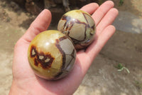 Polished Septerye Spheres x 6 From Mahajanga, Madagascar