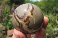 Polished Septerye Spheres x 6 From Mahajanga, Madagascar