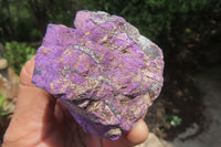 Natural Metallic Purpurite Cobbed Specimens x 6 From Erongo, Namibia