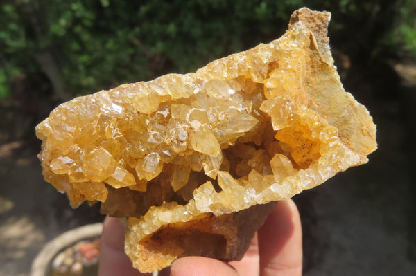 Natural Limonite Quartz Geode Specimens x 6 From Zambia