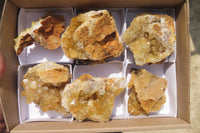 Natural Limonite Quartz Geode Specimens x 6 From Zambia