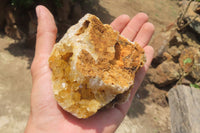 Natural Limonite Quartz Geode Specimens x 6 From Zambia