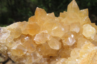 Natural Limonite Quartz Geode Specimens x 6 From Zambia