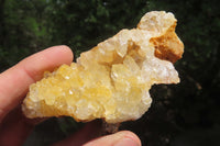 Natural Limonite Quartz Geode Specimens x 6 From Zambia