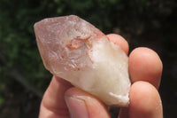 Natural Red Hematoid Quartz Crystal Specimens x 35 From Zimbabwe