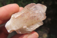 Natural Red Hematoid Quartz Crystal Specimens x 35 From Zimbabwe