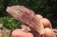 Natural Red Hematoid Quartz Crystal Specimens x 35 From Zimbabwe