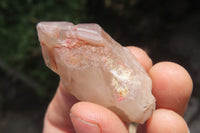 Natural Red Hematoid Quartz Crystal Specimens x 35 From Zimbabwe