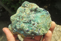 Natural Kyanite In Fuchsite Matrix Specimens x 5 From Zimbabwe