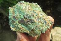 Natural Kyanite In Fuchsite Matrix Specimens x 5 From Zimbabwe