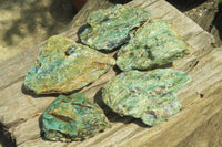 Natural Kyanite In Fuchsite Matrix Specimens x 5 From Zimbabwe