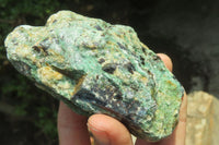 Natural Kyanite In Fuchsite Matrix Specimens x 5 From Zimbabwe